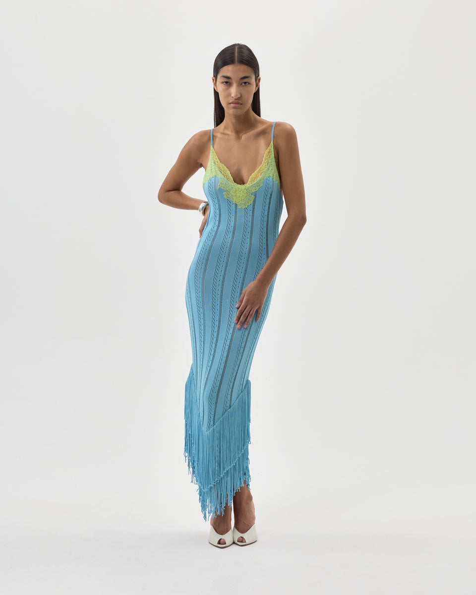 CUCARACHA MAXI DRESS